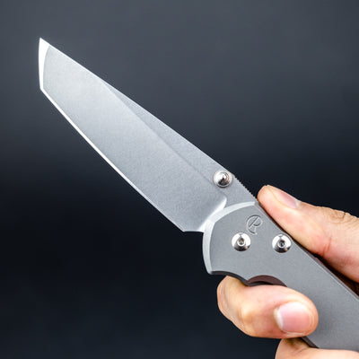 Chris Reeve Knives Large Sebenza 31 - Glass Blasted
