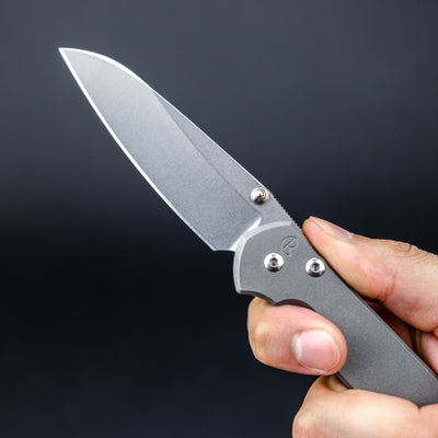 Chris Reeve Knives Small Sebenza 31 - Glass Blasted