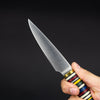 Kitchen - Florentine Kitchen Knives F4 Paring Knife - Stacked Micarta (Custom)