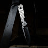 Knife - Chris Reeve Knives Large Sebenza 31 - Shot Show 2020 Unique Graphics